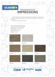 Листовка Impressions5