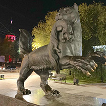 Бобров шоу в Красноярске