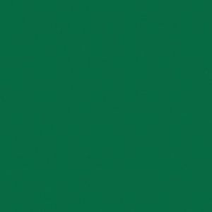 Спортивный линолеум Tarkett Omnisports Action 65 Field Green