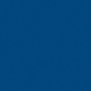 Спортивный линолеум Tarkett Omnisports Action 40 Royal Blue
