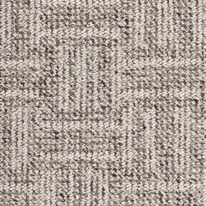 Бытовой ковролин Balta Broadloom Rio Design