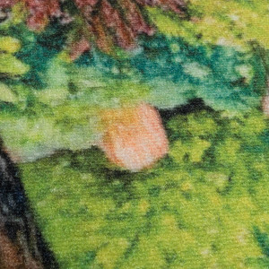 Кайраккумские ковры Gissar 494PA-81, фото 9