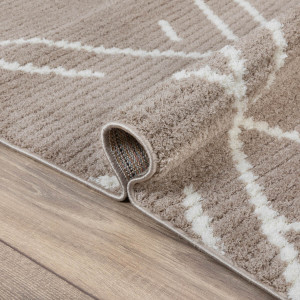Ковры из Турции Daria L348A Beige/White, фото 5