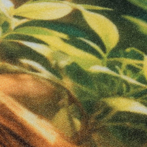 Кайраккумские ковры Gissar 492PA-61, фото 9